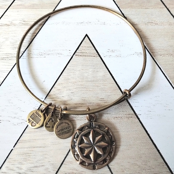 Alex and Ani Compass Bangle Bracelet - Picture 7 of 10